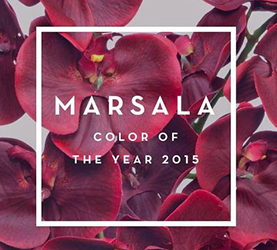 Introducing MARSALA – Pantone Colour of 2015